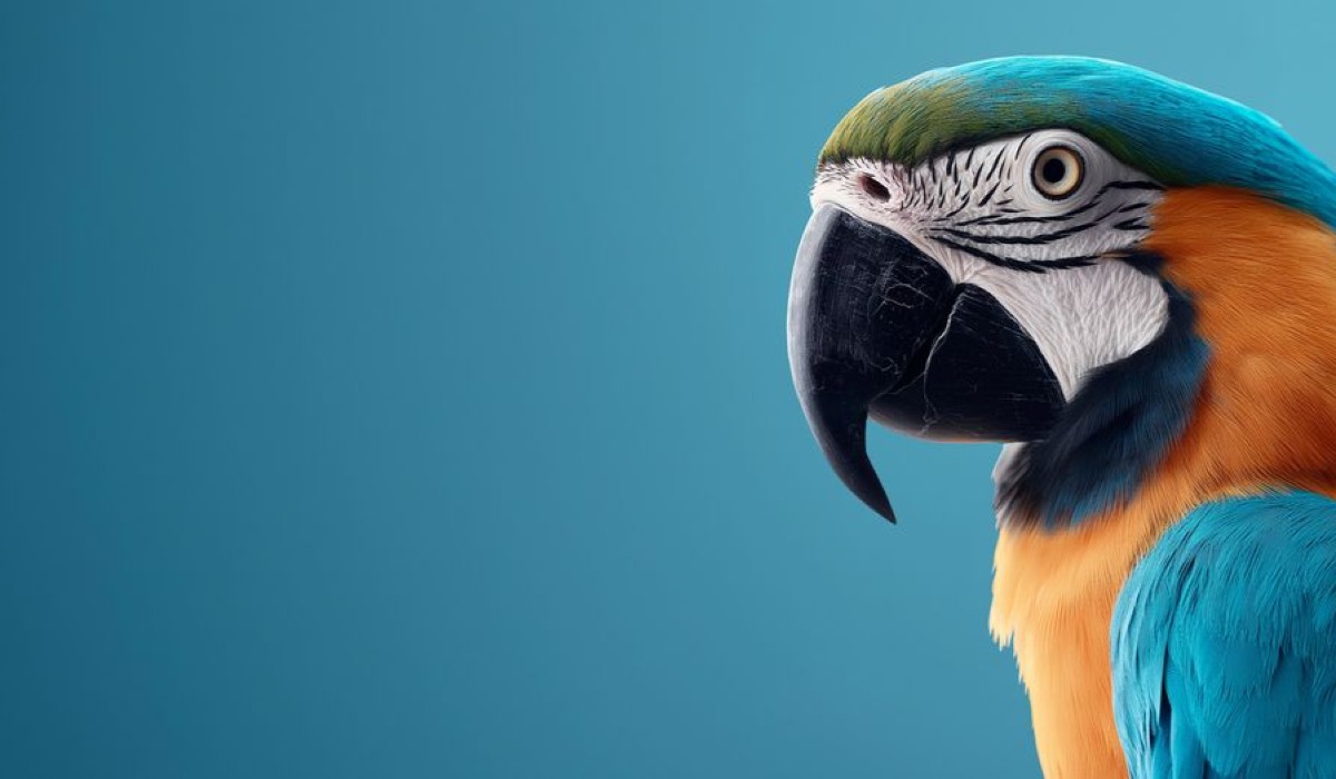 Makawa (Macaw) 